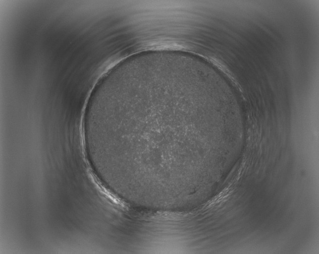 X0000057100840200509121006