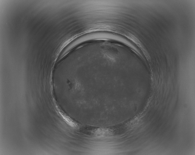 X0000057100842200509121006