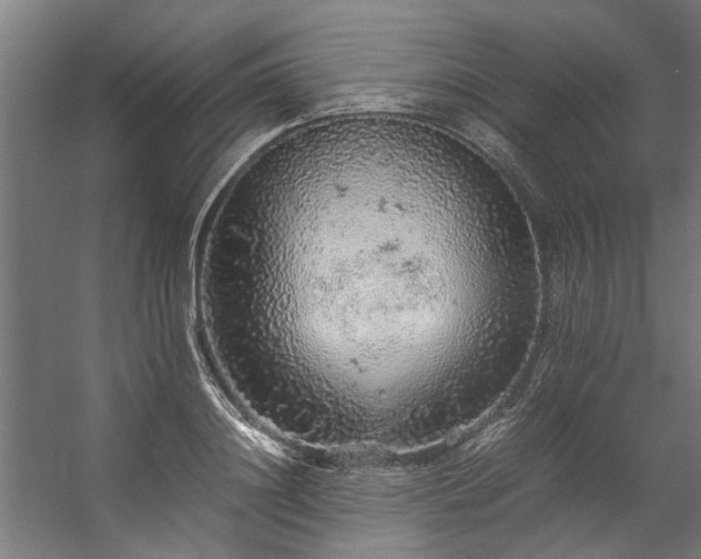 X0000057100844200509121006