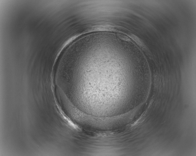 X0000057100846200509121006