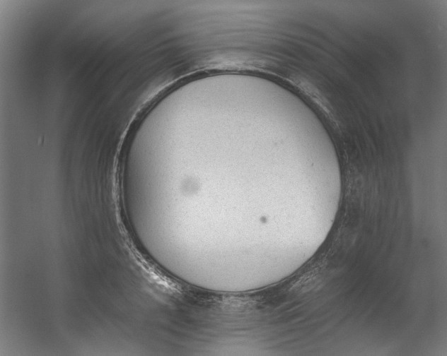 X0000057100848200509121006