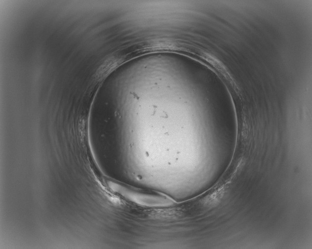 X0000057100849200509121006