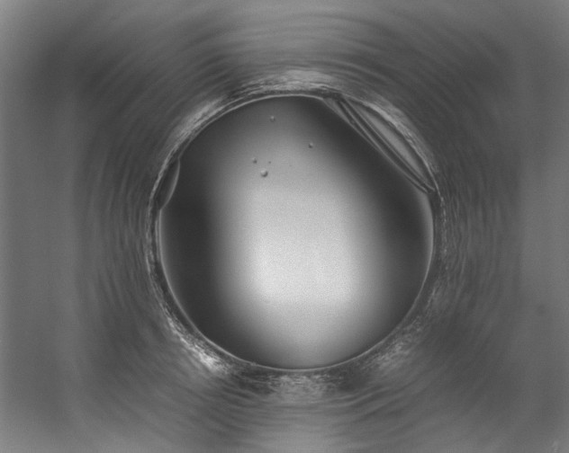 X0000057100850200509121006