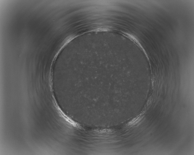 X0000057100851200509121006