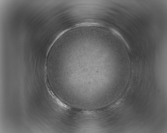 X0000057100852200509121006