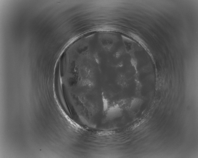 X0000057100853200509121006