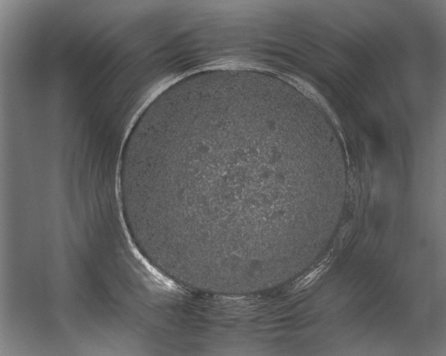 X0000057100855200509121006