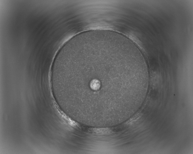 X0000057100856200509121006