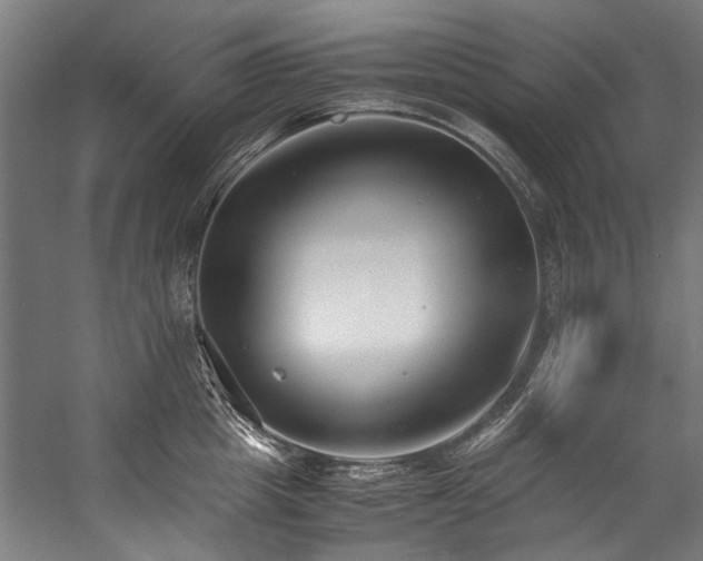 X0000057100857200509121006