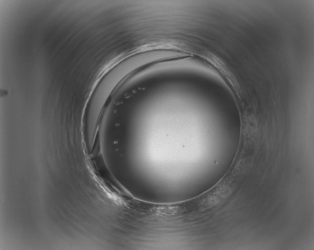 X0000057100858200509121006