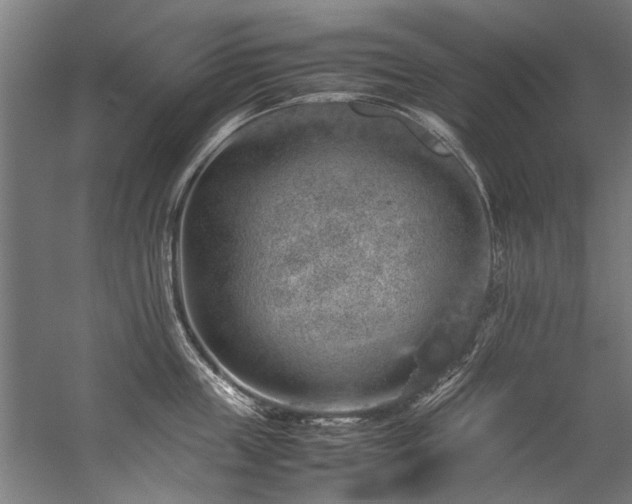 X0000057100859200509121006