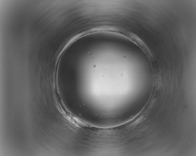 X0000057100860200509121006