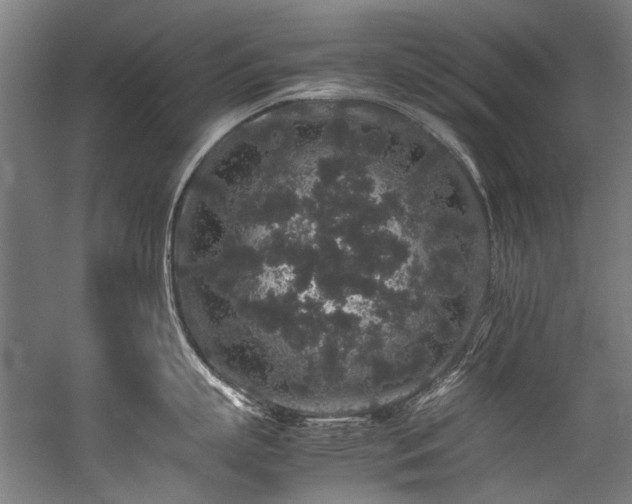 X0000057100863200509121006