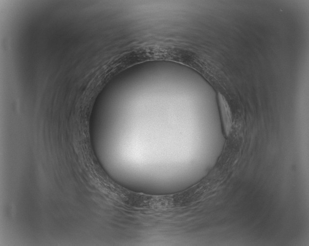 X0000057100865200509121005