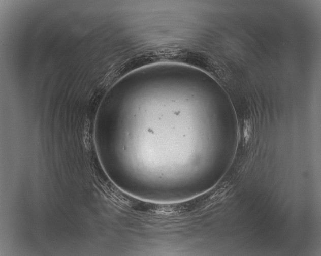 X0000057100867200509121005