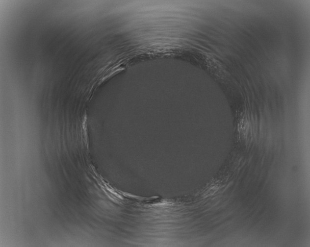 X0000057100868200509121005