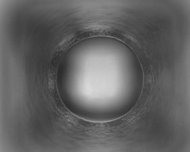 X0000057100869200509121005