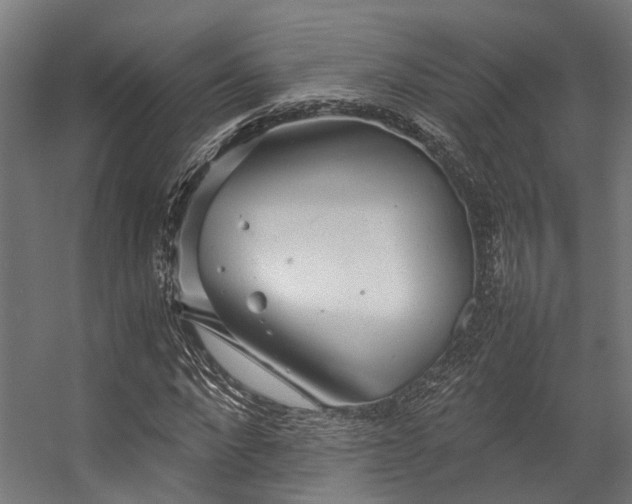 X0000057100872200509121005