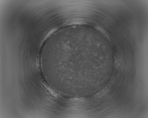 X0000057100874200509121005