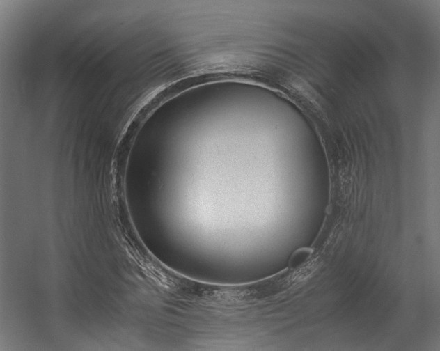 X0000057100875200509121005