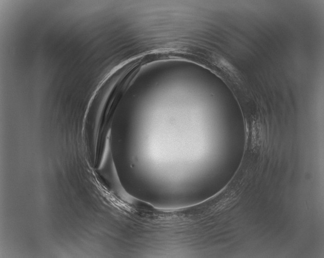 X0000057100876200509121005