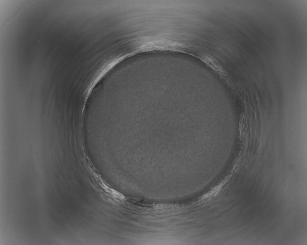 X0000057100877200509121005