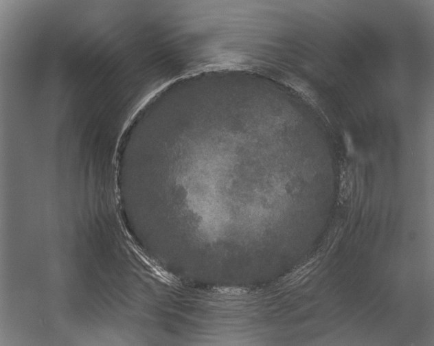 X0000057100878200509121005