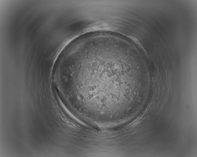 X0000057100879200509121005