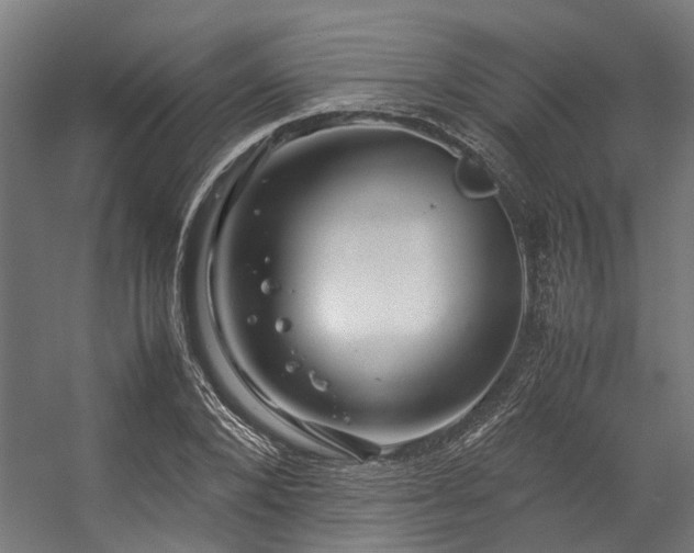 X0000057100880200509121005