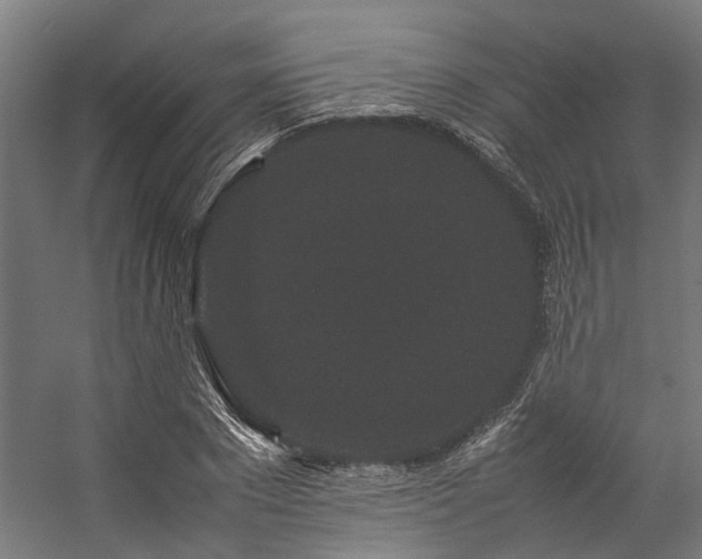 X0000057100881200509121005