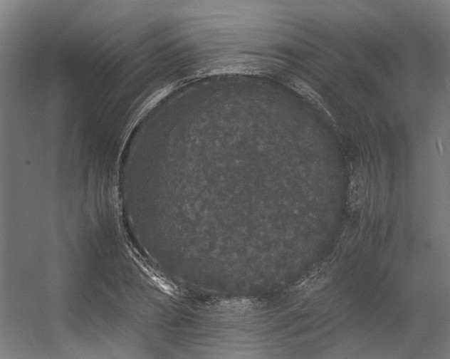 X0000057100882200509121005