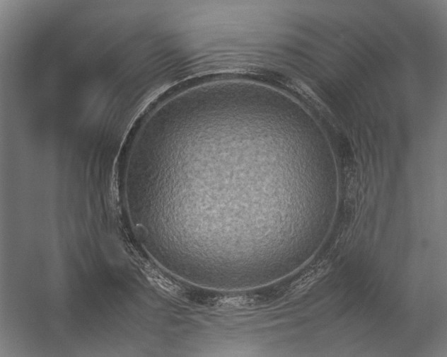 X0000057100883200509121005