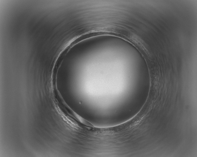 X0000057100884200509121005