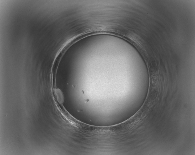 X0000057100886200509121005