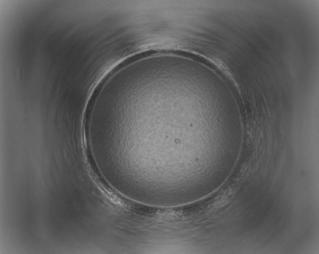 X0000057100887200509121005