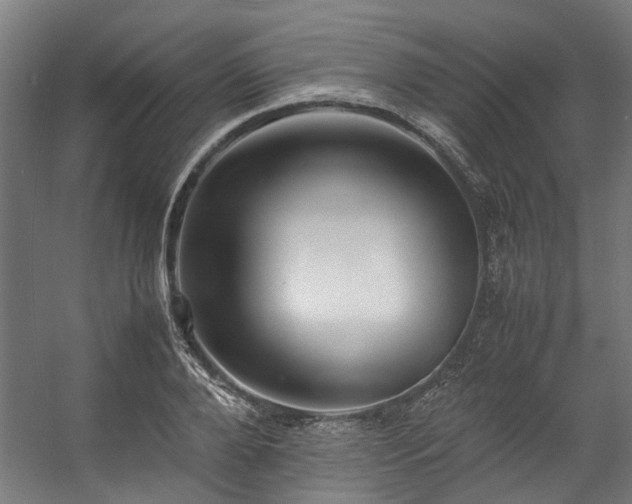 X0000057100888200509121005