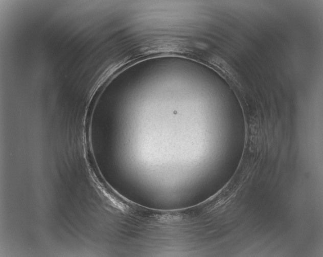 X0000057100890200509121005