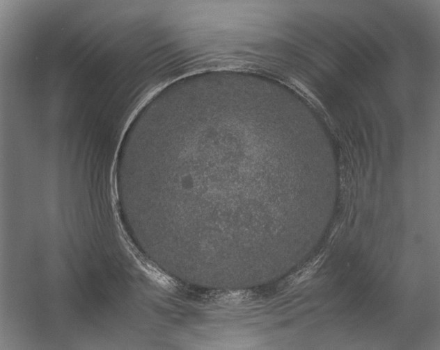 X0000057100891200509121005