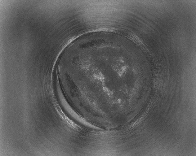 X0000057100892200509121005