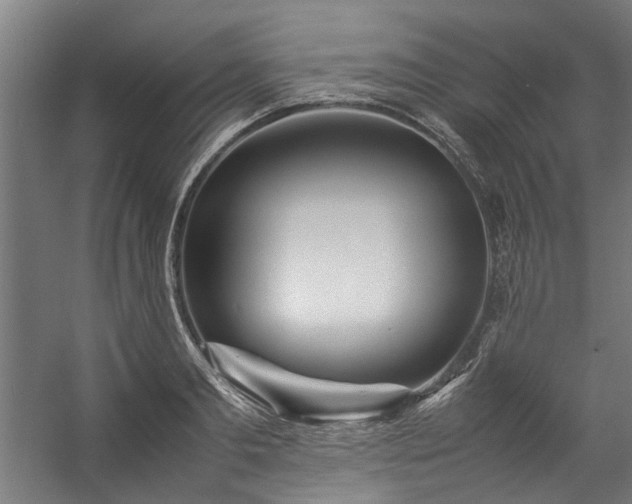 X0000057100893200509121005