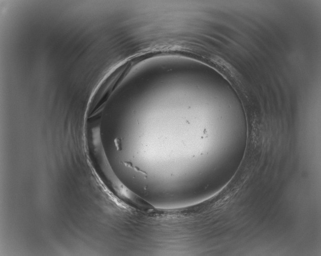 X0000057100894200509121005