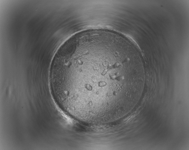 X0000057100895200509121005