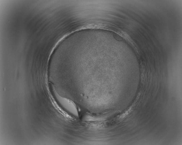 X0000057100896200509121005