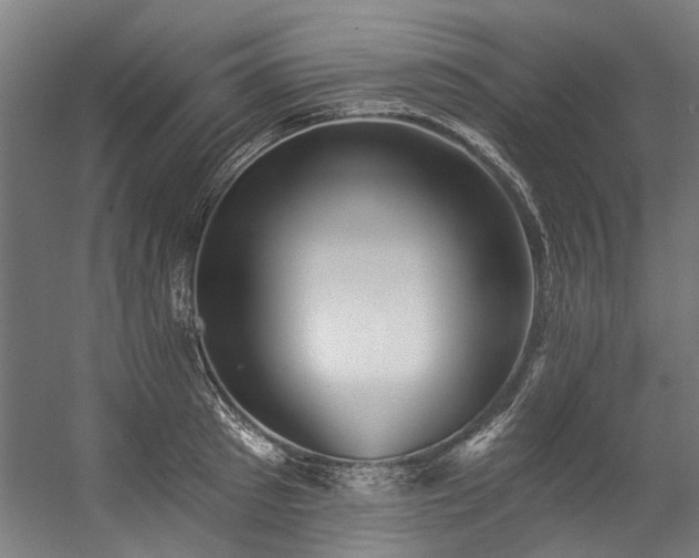 X0000057100897200509121005