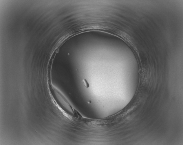 X0000057100898200509121005