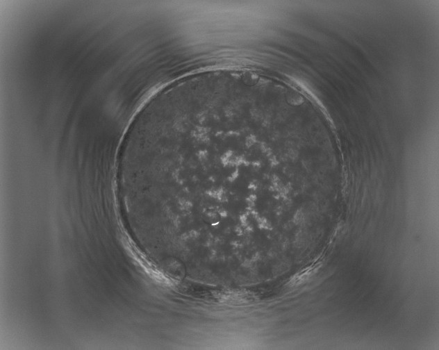 X0000057100899200509121005