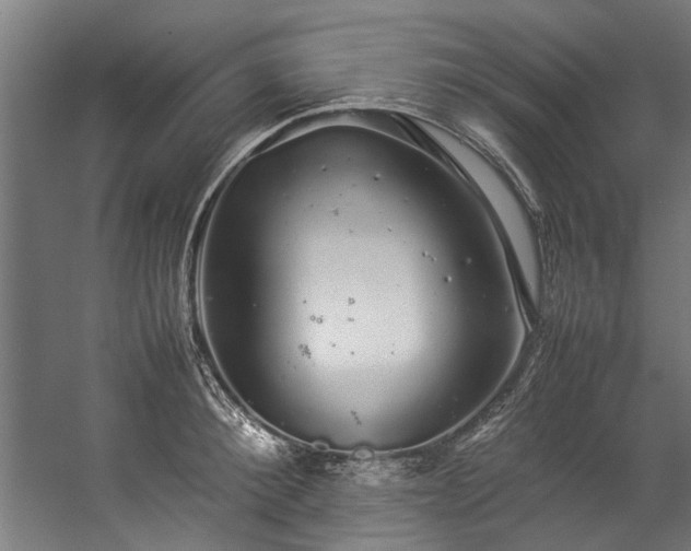 X0000057100900200509121005