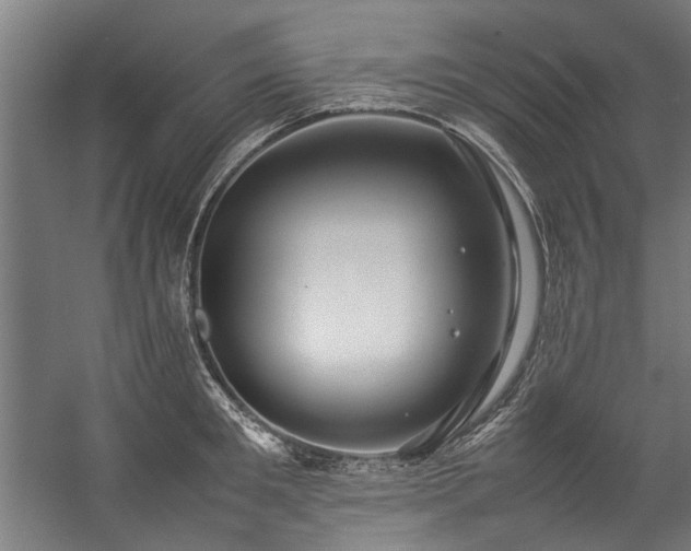 X0000057100901200509121005