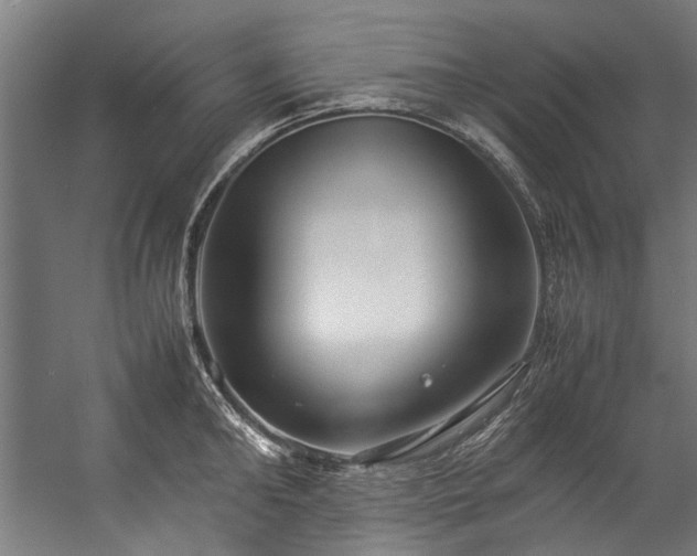 X0000057100902200509121005