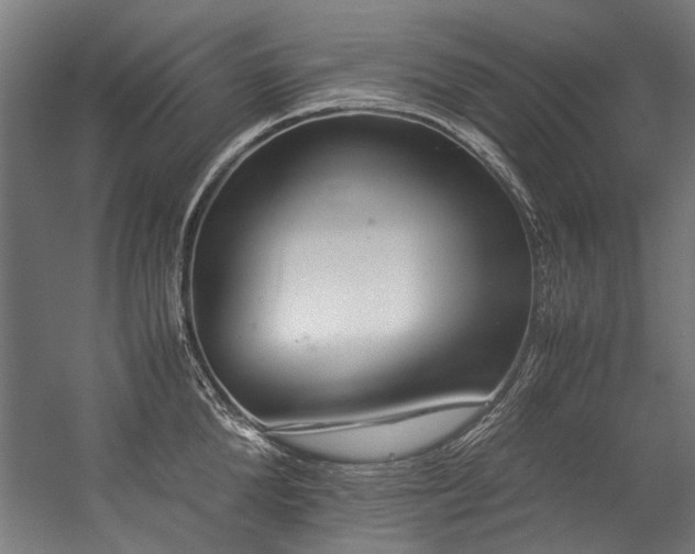 X0000057100904200509121005